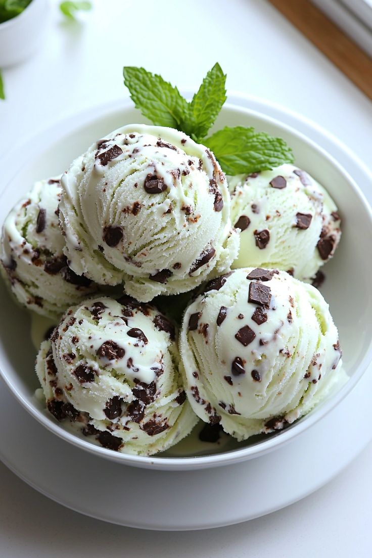 Premium Choco Chip 250 ml