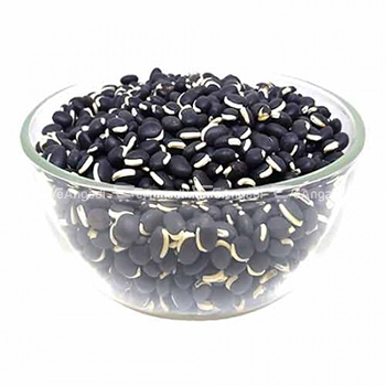 karuppu mochai payar