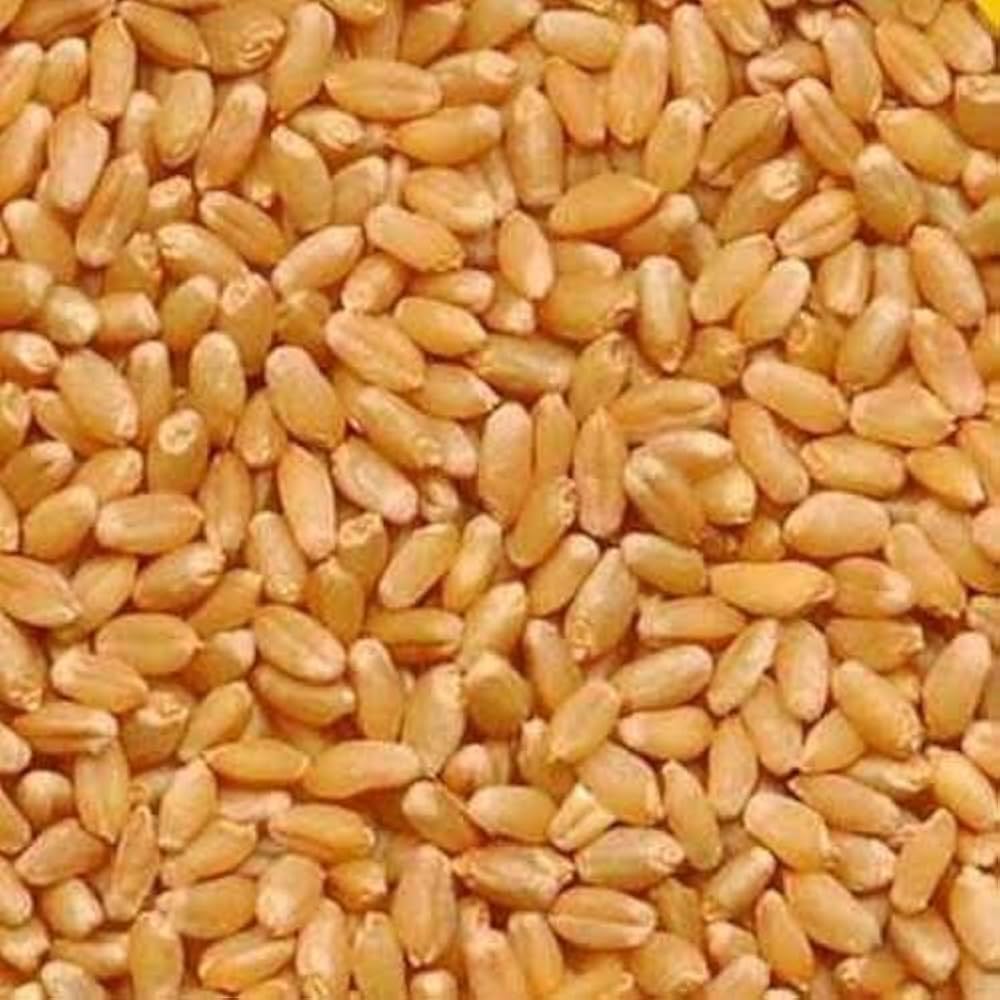 Wheat(கோதுமை) 1kg