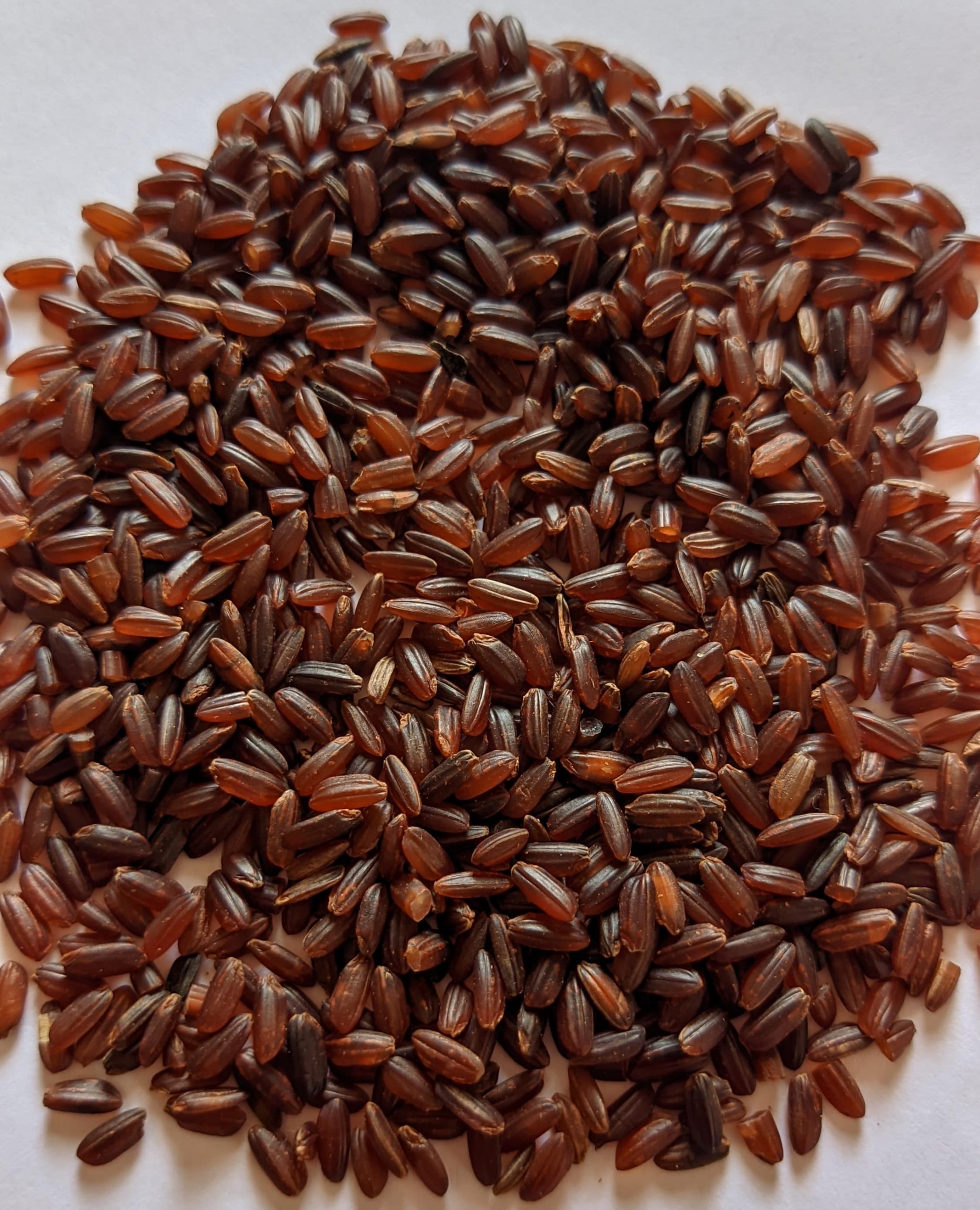 Bridegroom Rice(மாப்பிள்ளை சம்பா) 1kg