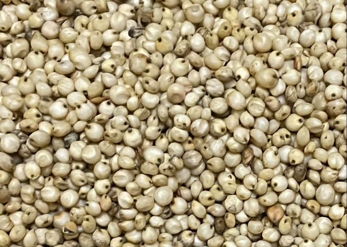 White sorghum(வெள்ளாயி சோலம்) 1kg