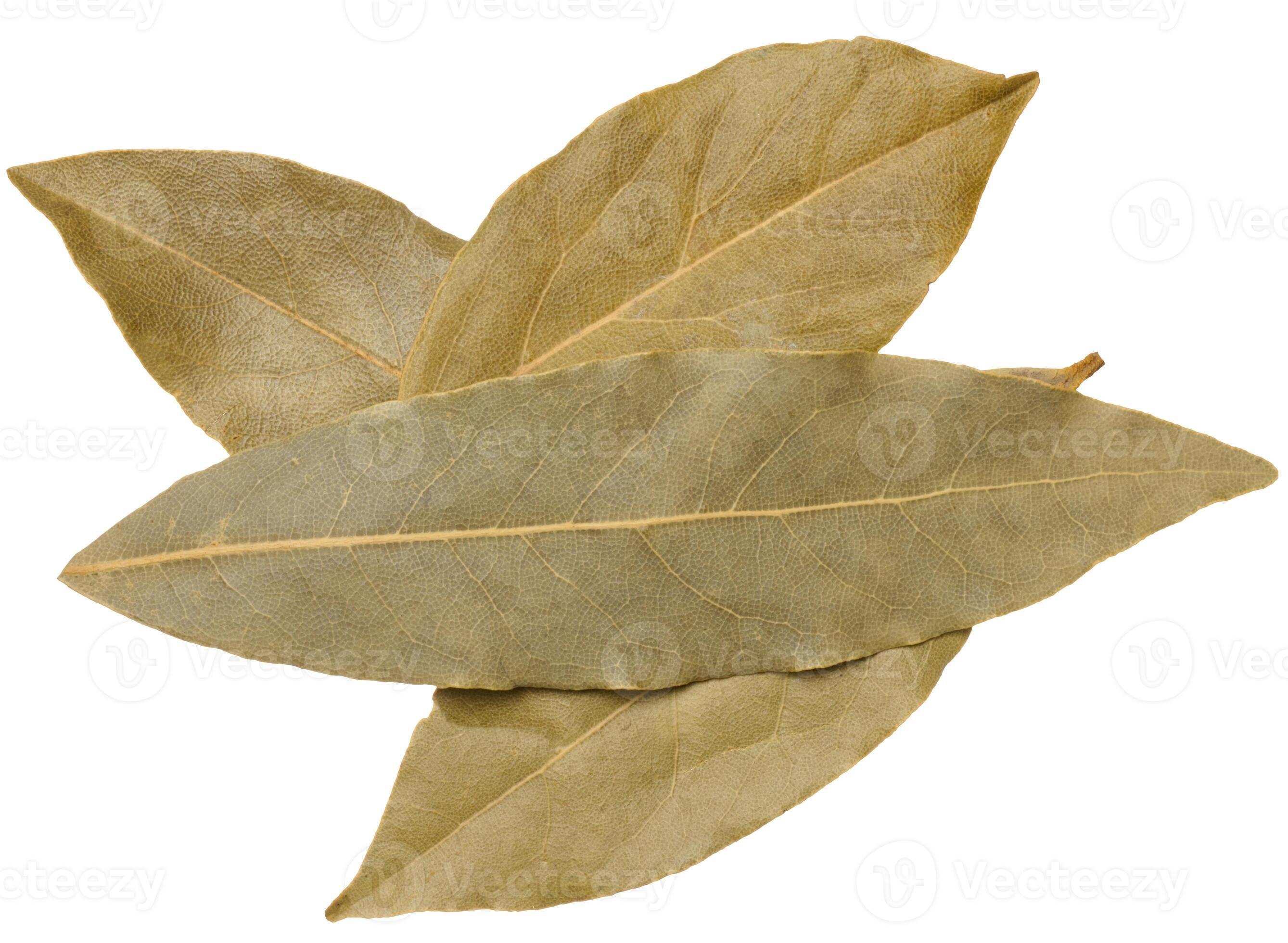 Biriyani leaf 10g