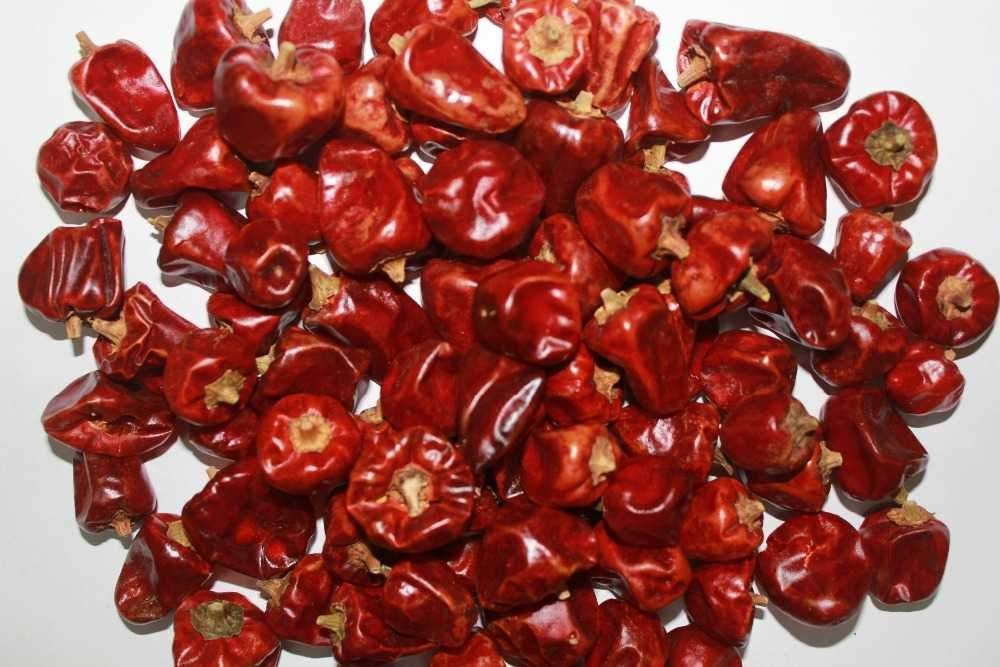 Chilli Round (Gundu)(200 g)